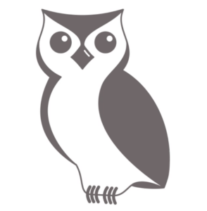 An illustration of a curious owl